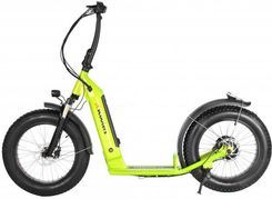 Hulajnoga elektryczna X Scooters Xt08 Li Zielony