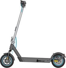 Motus Scooty 10 Pro szary